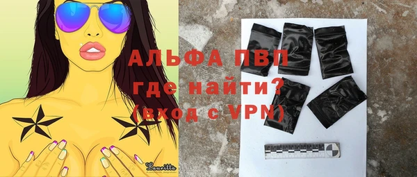 дживик Надым