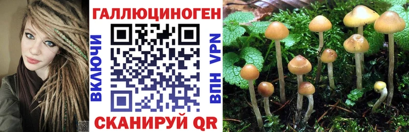 Галлюциногенные грибы Cubensis  купить наркоту  площадка телеграм  Конаково 