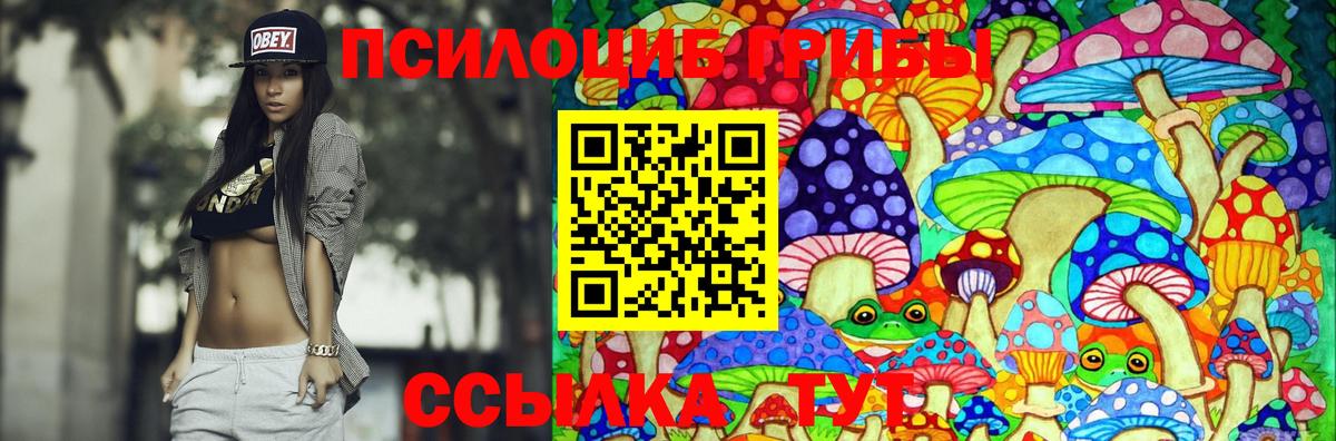 закладки  Вход с VPN  Конаково  Галлюциногенные грибы Magic Shrooms 